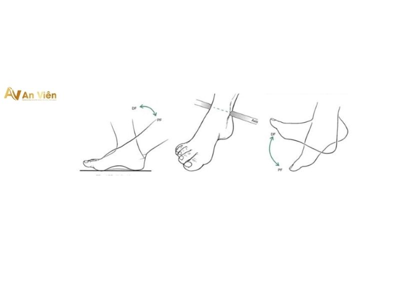 giãn tĩnh mạch chân là gì nên điều trị ở đâu