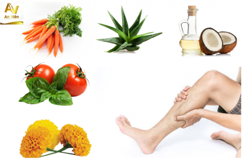 Bổ sung đầy đủ các chất dinh dưỡng