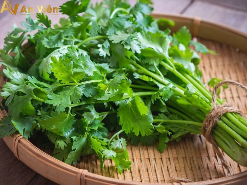 Lá cây mùi tây giúp chữa bệnh giãn tĩnh mạch hiệu quả