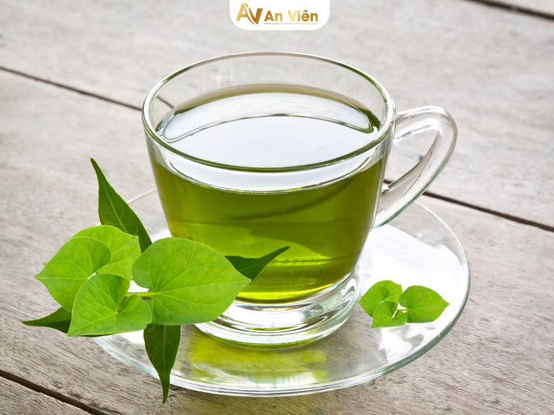rau diếp cá có trị giãn tĩnh mạch không