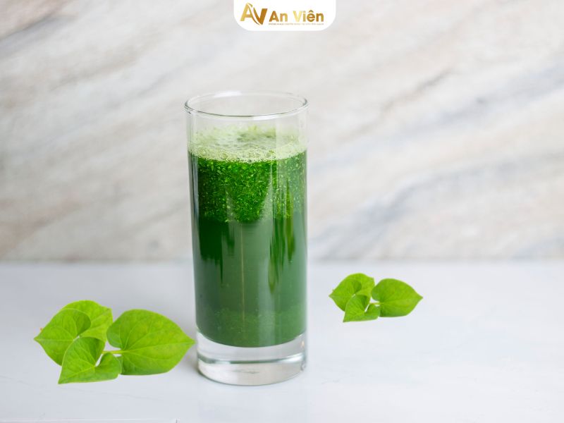 rau diếp cá có trị giãn tĩnh mạch không