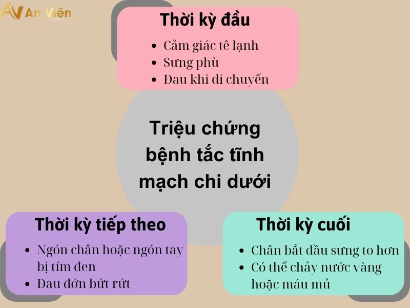 tắc tĩnh mạch chi dưới