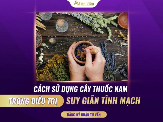 chữa giãn tĩnh mạch bằng cây thuốc nam