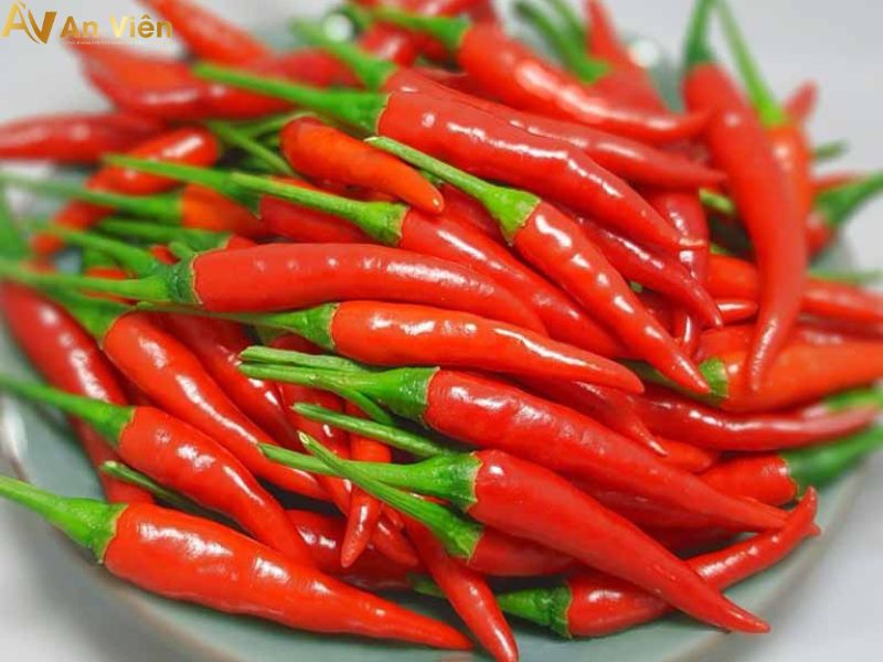 chữa giãn tĩnh mạch