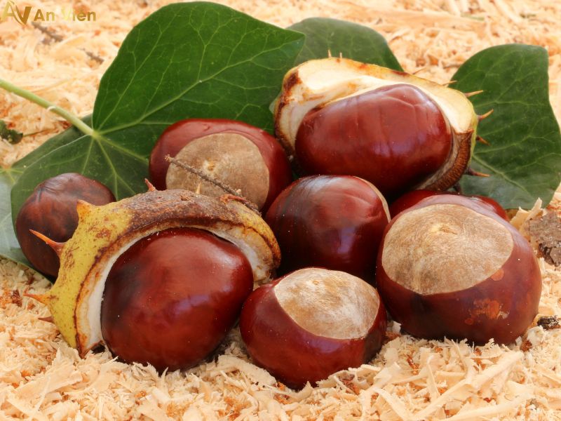 giãn tĩnh mạch chữa như thế nào