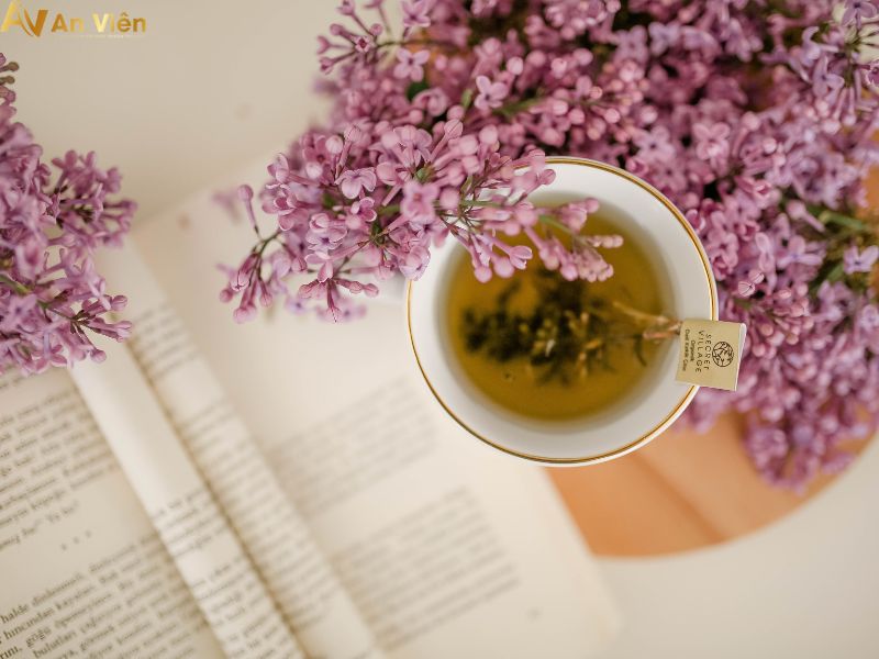 giãn tĩnh mạch nhẹ