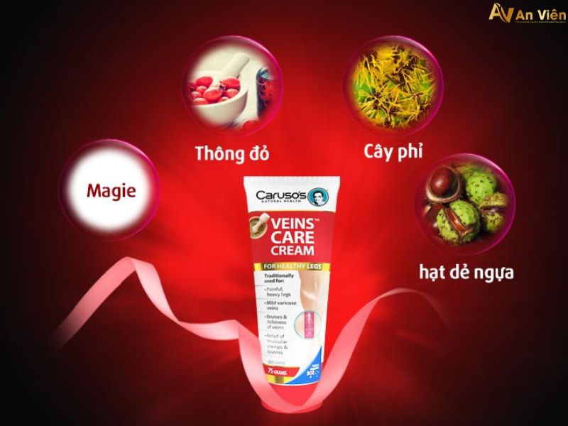 mạch máu ở chân