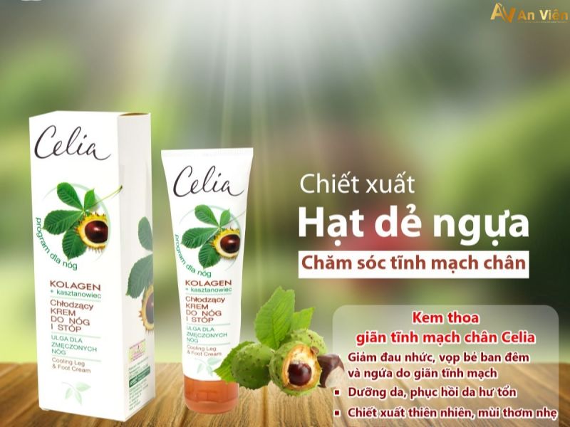 mạch máu ở chân