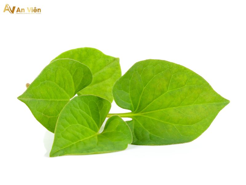 cách điều trị suy giãn tĩnh mạch