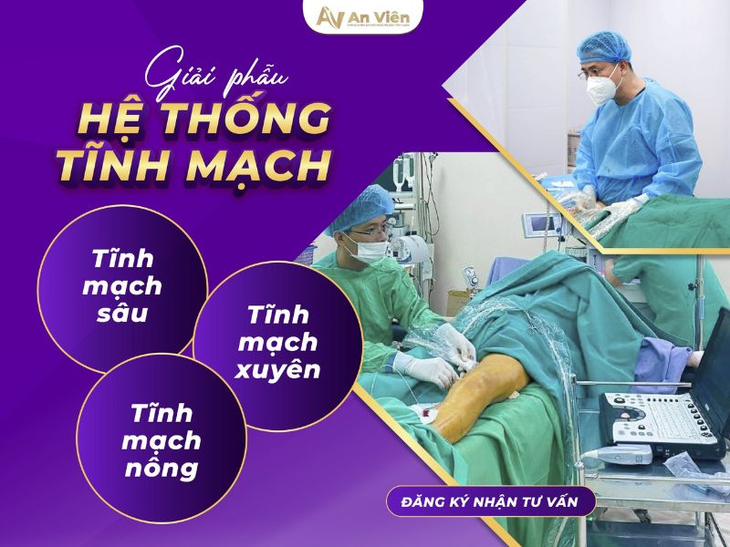 bệnh suy van tĩnh mạch sâu chi dưới