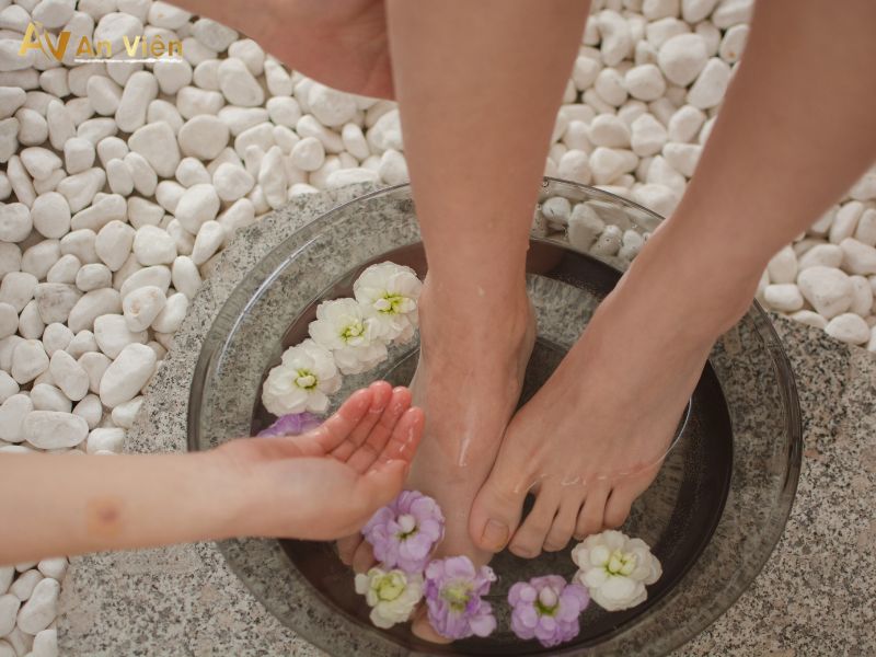 giãn tĩnh mạch có ngâm lá lốt được không