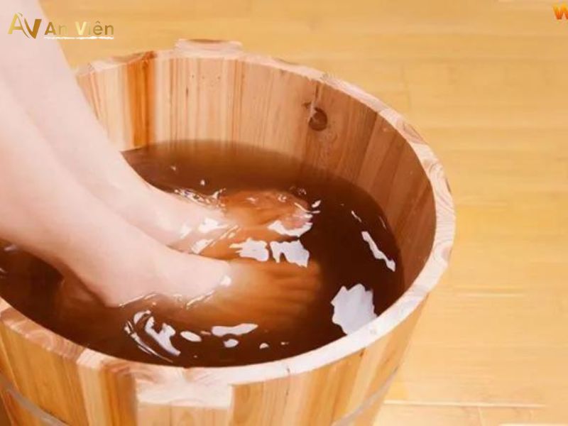 giãn tĩnh mạch có ngâm lá lốt được không