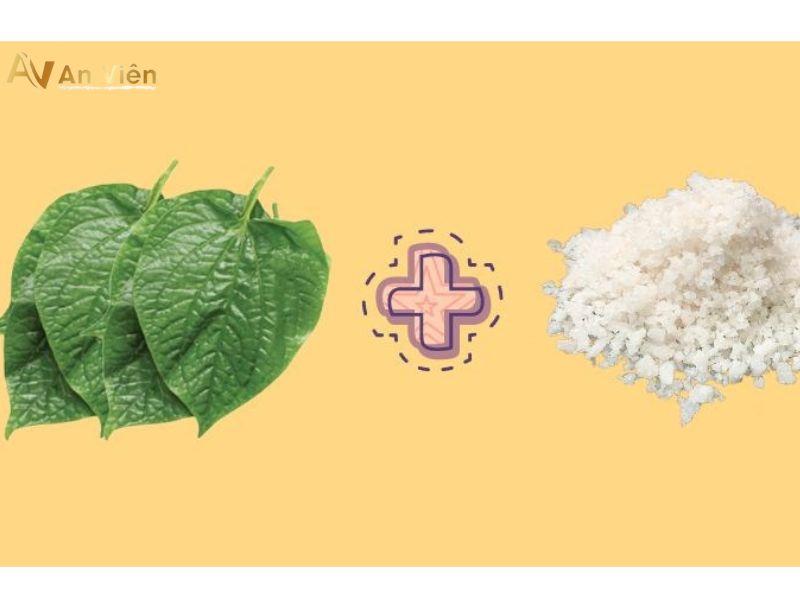 giãn tĩnh mạch có ngâm lá lốt được không