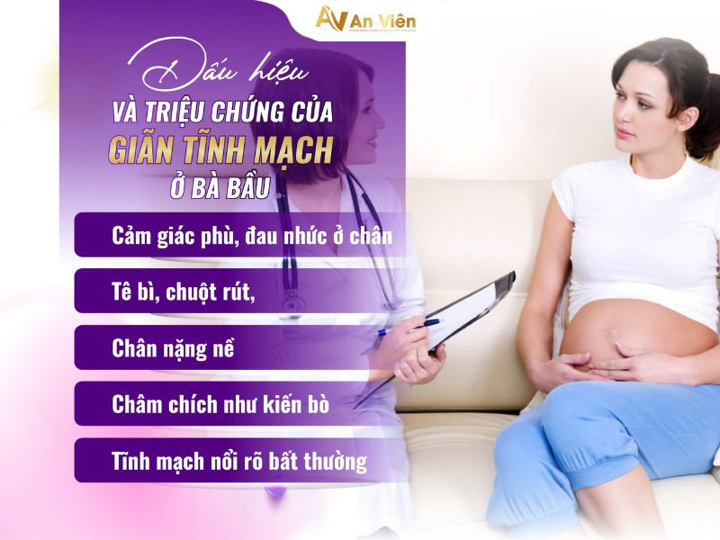 bầu giãn tĩnh mạch