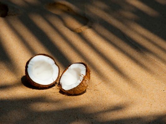 dầu dừa trị giãn tĩnh mạch