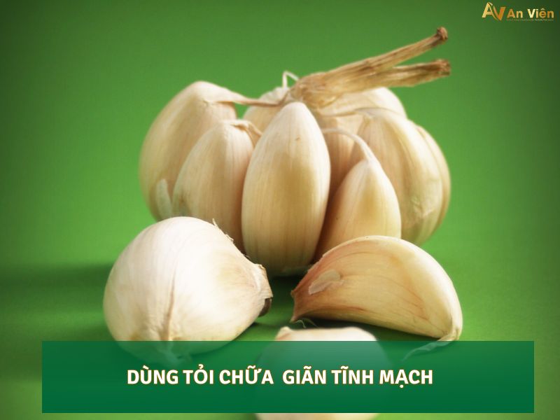 lá lốt chữa giãn tĩnh mạch