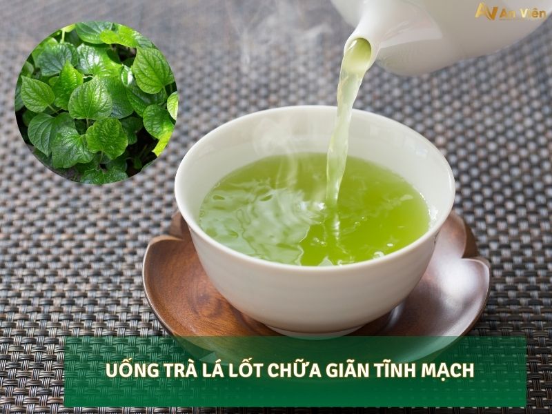 lá lốt chữa giãn tĩnh mạch
