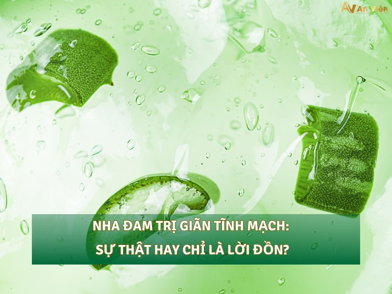 nha đam trị giãn tĩnh mạch