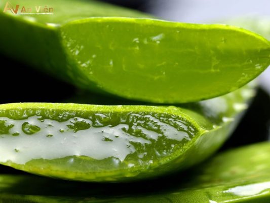 nha đam trị giãn tĩnh mạch