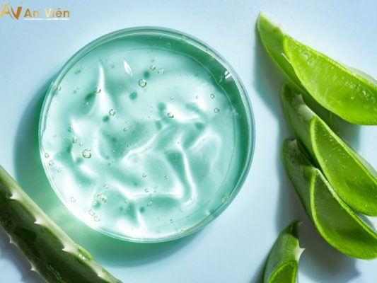 nha đam trị giãn tĩnh mạch