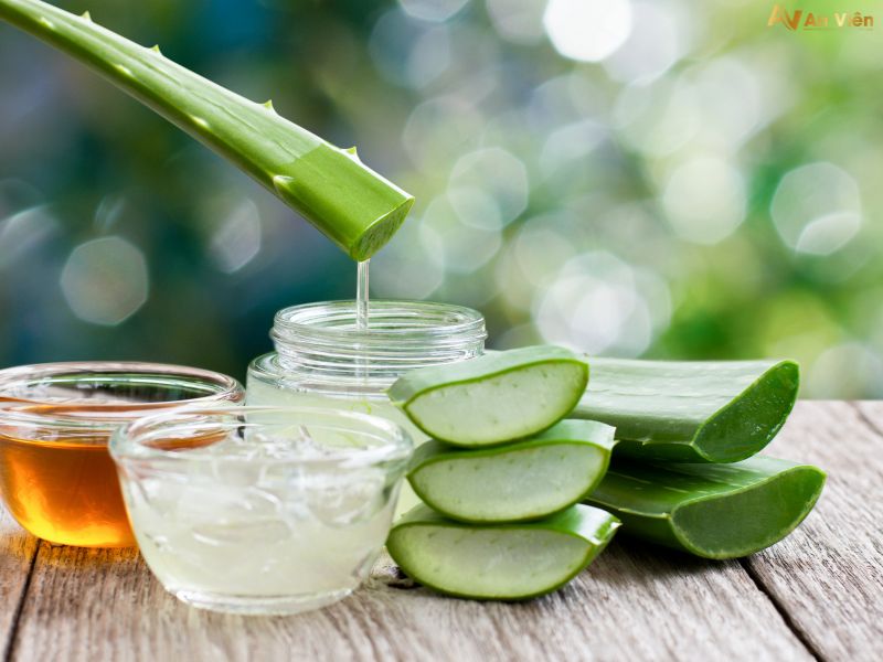 nha đam trị giãn tĩnh mạch