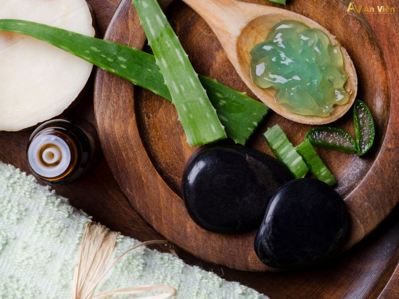 nha đam trị giãn tĩnh mạch