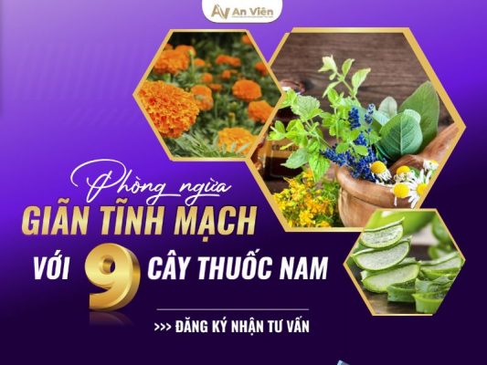 nha đam trị giãn tĩnh mạch