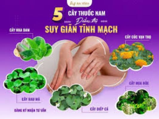 nha đam trị giãn tĩnh mạch