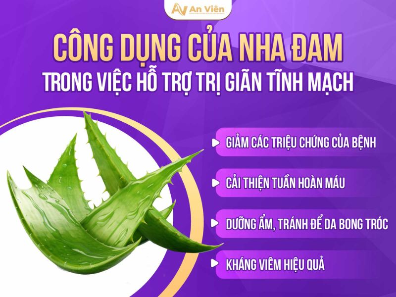 nha đam trị giãn tĩnh mạch