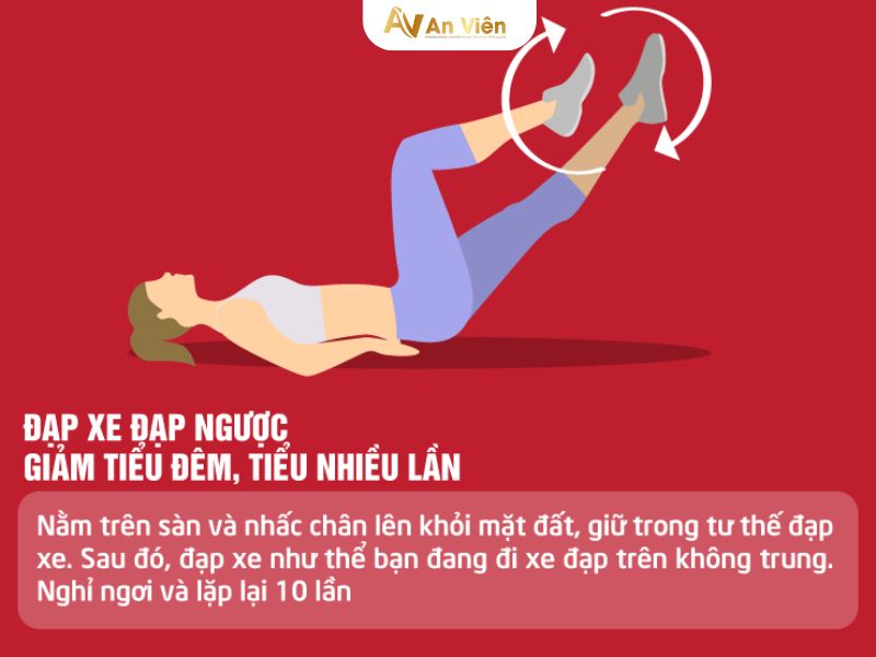bài tập suy giãn tĩnh mạch