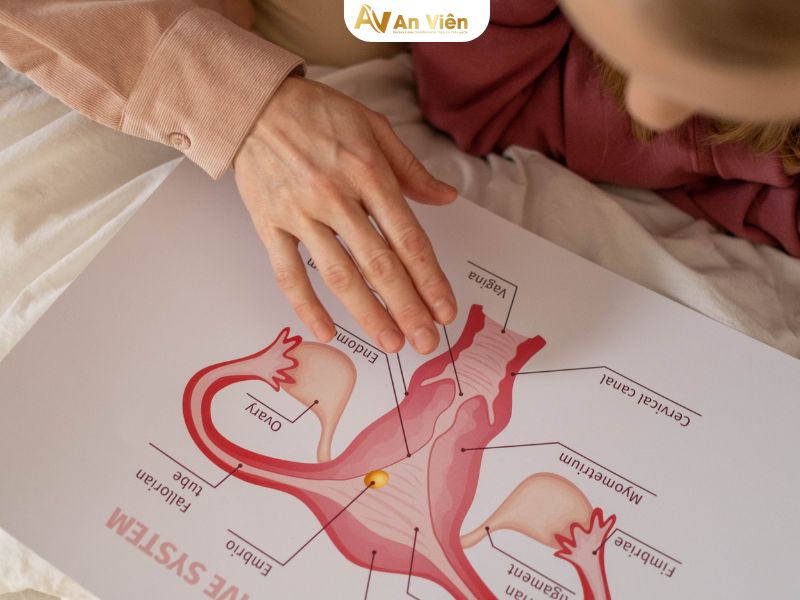 giãn tĩnh mạch vùng kín