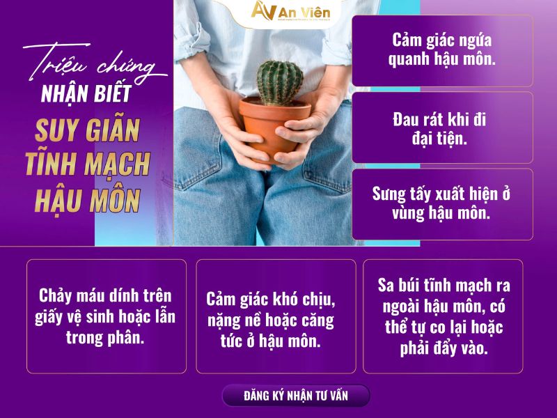 suy giãn tĩnh mạch hậu môn